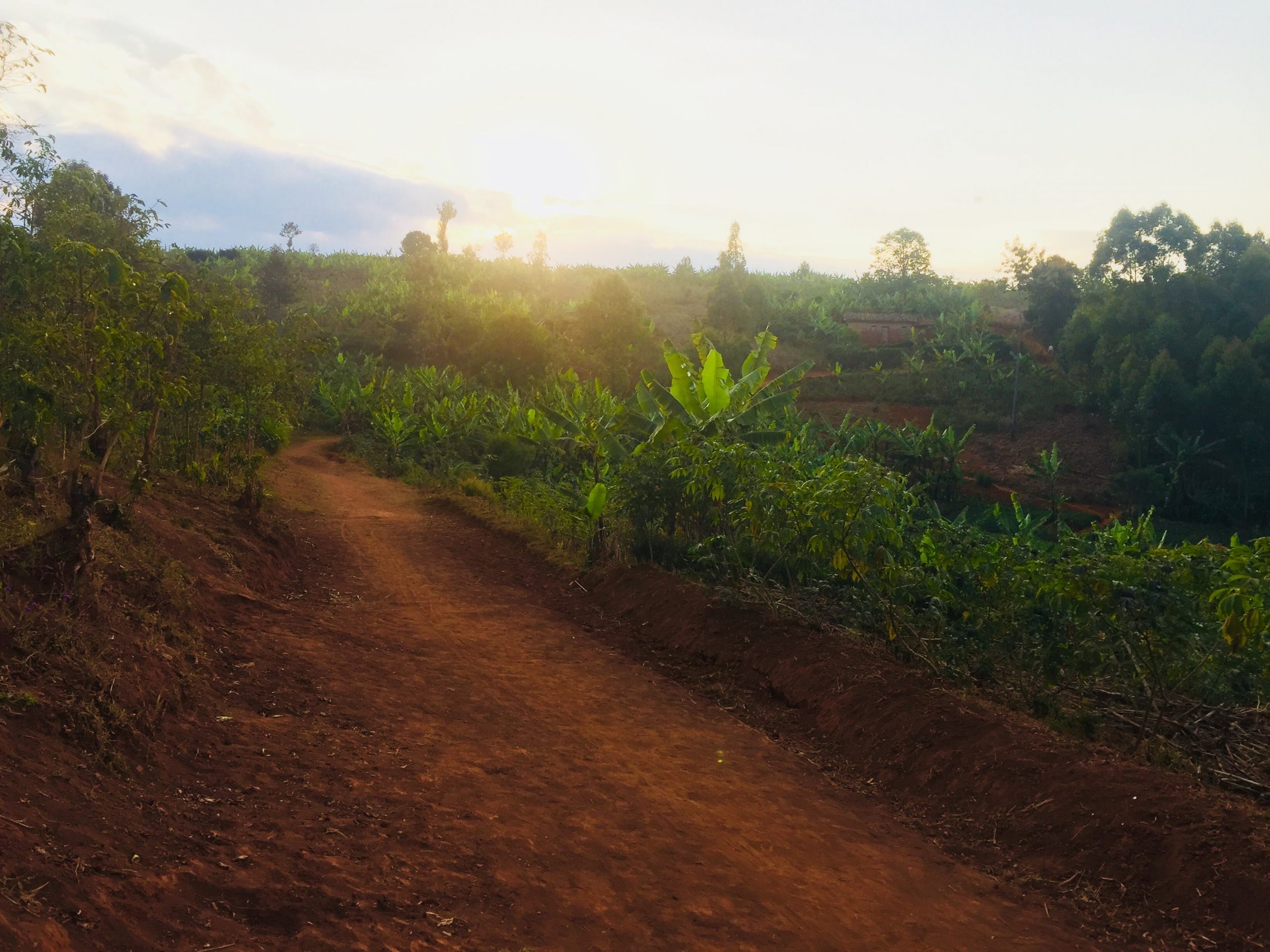 Things I’m going to miss – #473- Burundi trail running
